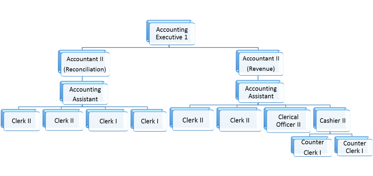 Final Accounts Org Chart - Division Of Finance And The Economy